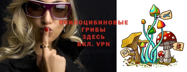 ГАЛЛЮЦИНОГЕННЫЕ ГРИБЫ Арсеньев