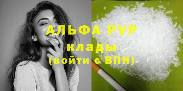 стаф Аркадак