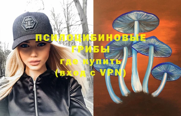 прущий лед Армянск
