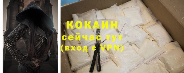 стаф Аркадак
