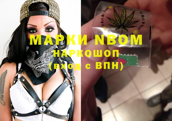 ГАЛЛЮЦИНОГЕННЫЕ ГРИБЫ Арсеньев