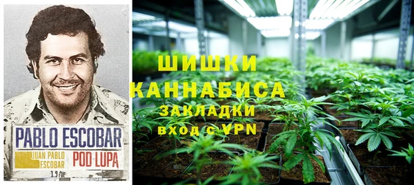 ГАЛЛЮЦИНОГЕННЫЕ ГРИБЫ Арсеньев