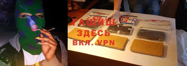 стаф Аркадак