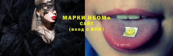 стаф Аркадак
