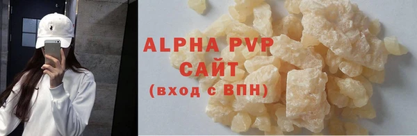 стаф Аркадак