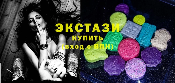 стаф Аркадак