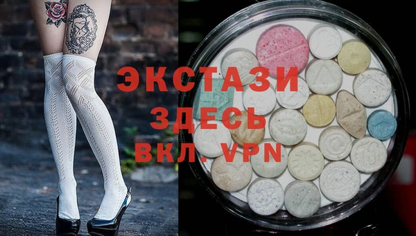 стаф Аркадак