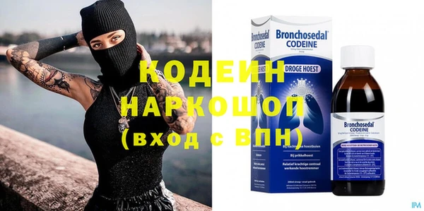стаф Аркадак