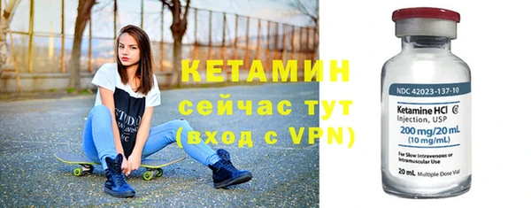 стаф Аркадак
